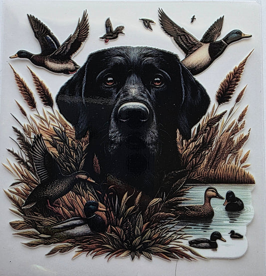 Duck and black lab decal