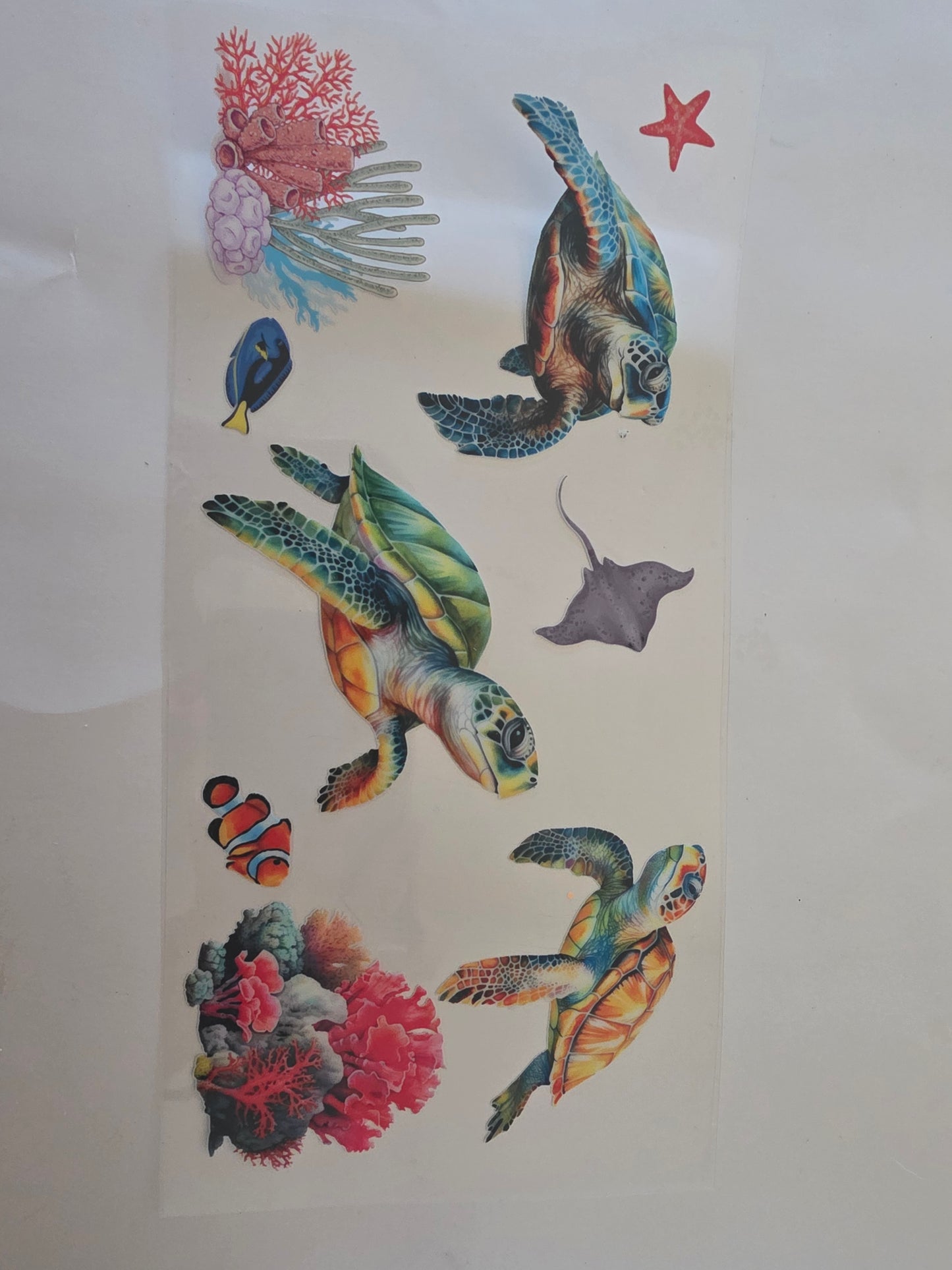 Turtles,fish and coral wrap