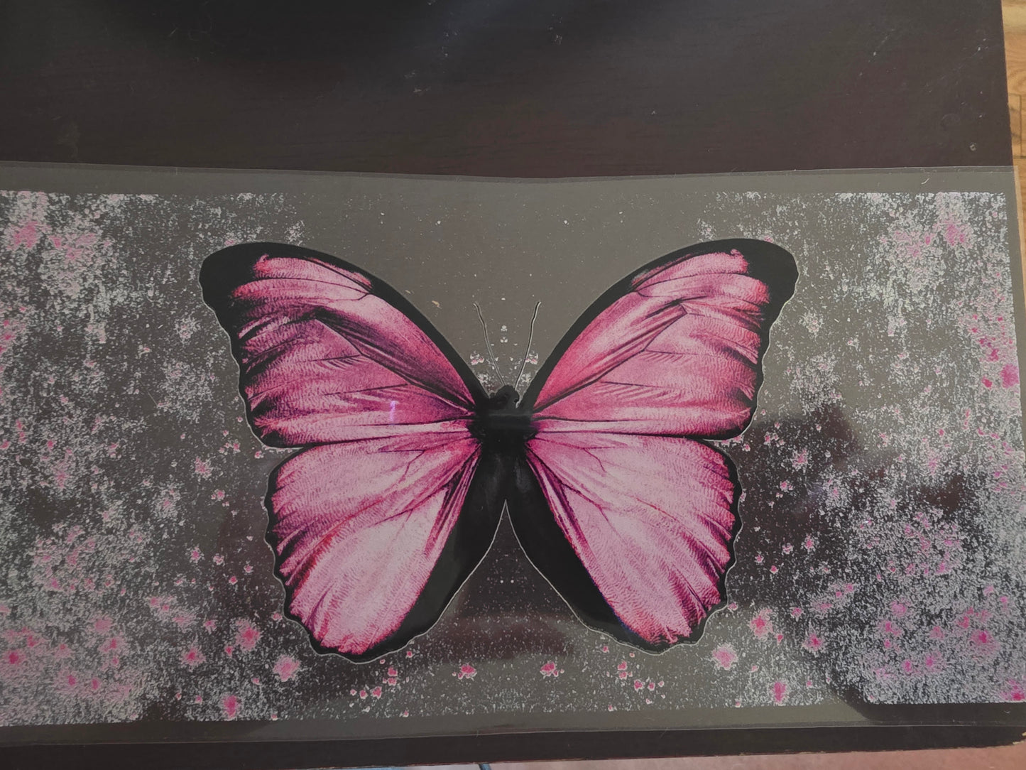 Pastel big butterfly wrap