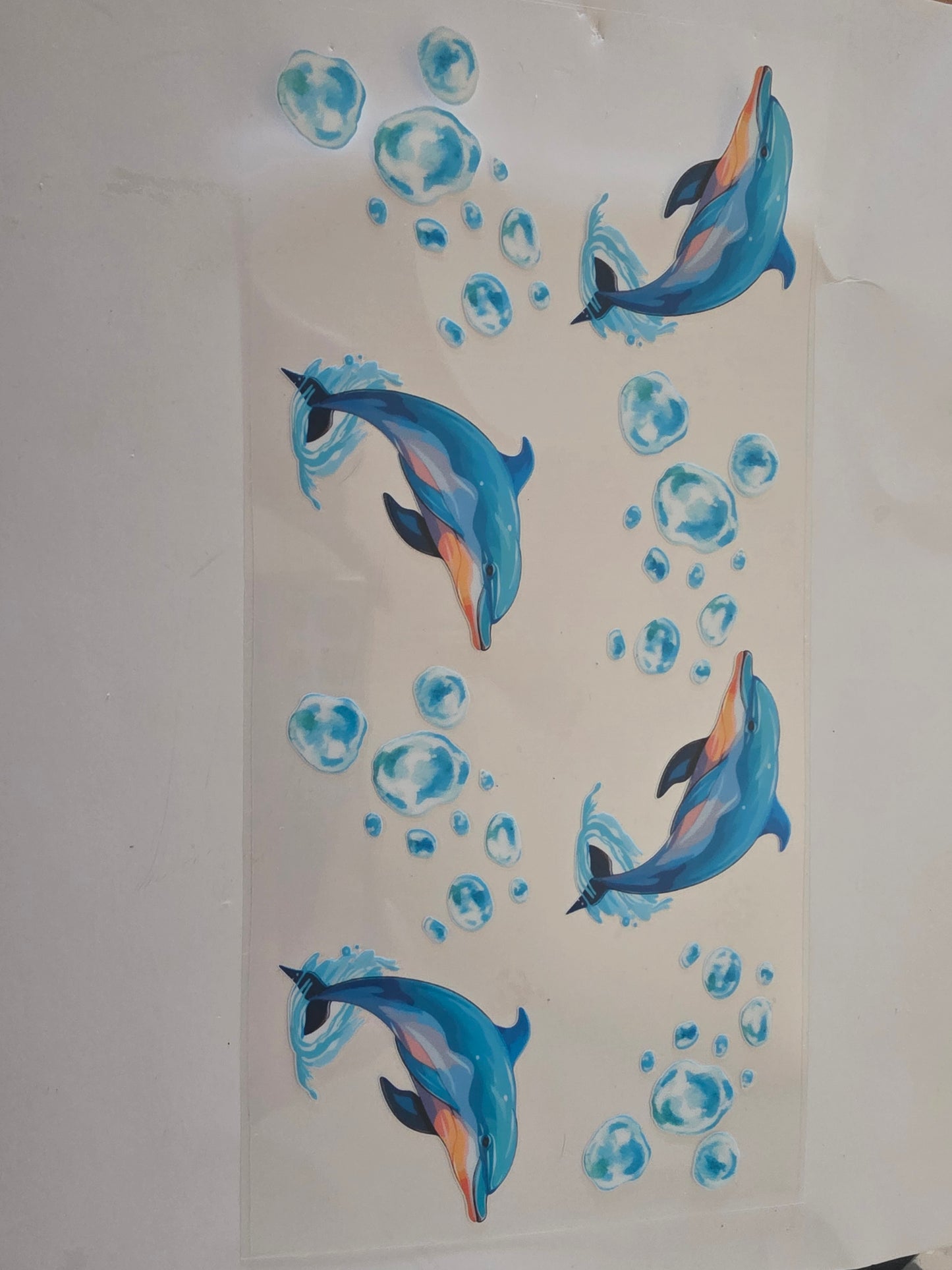 Dolphins wrap