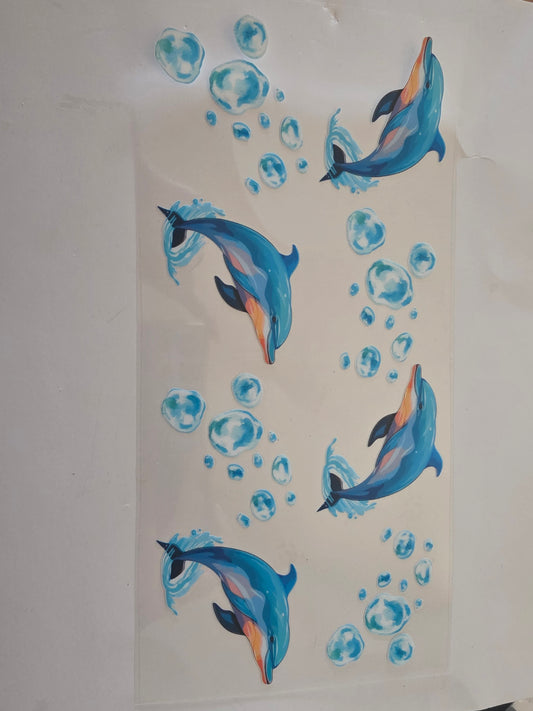 Dolphins wrap
