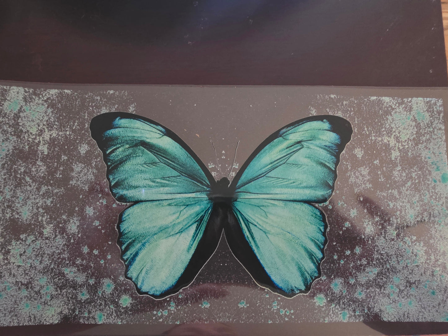 Pastel big butterfly wrap