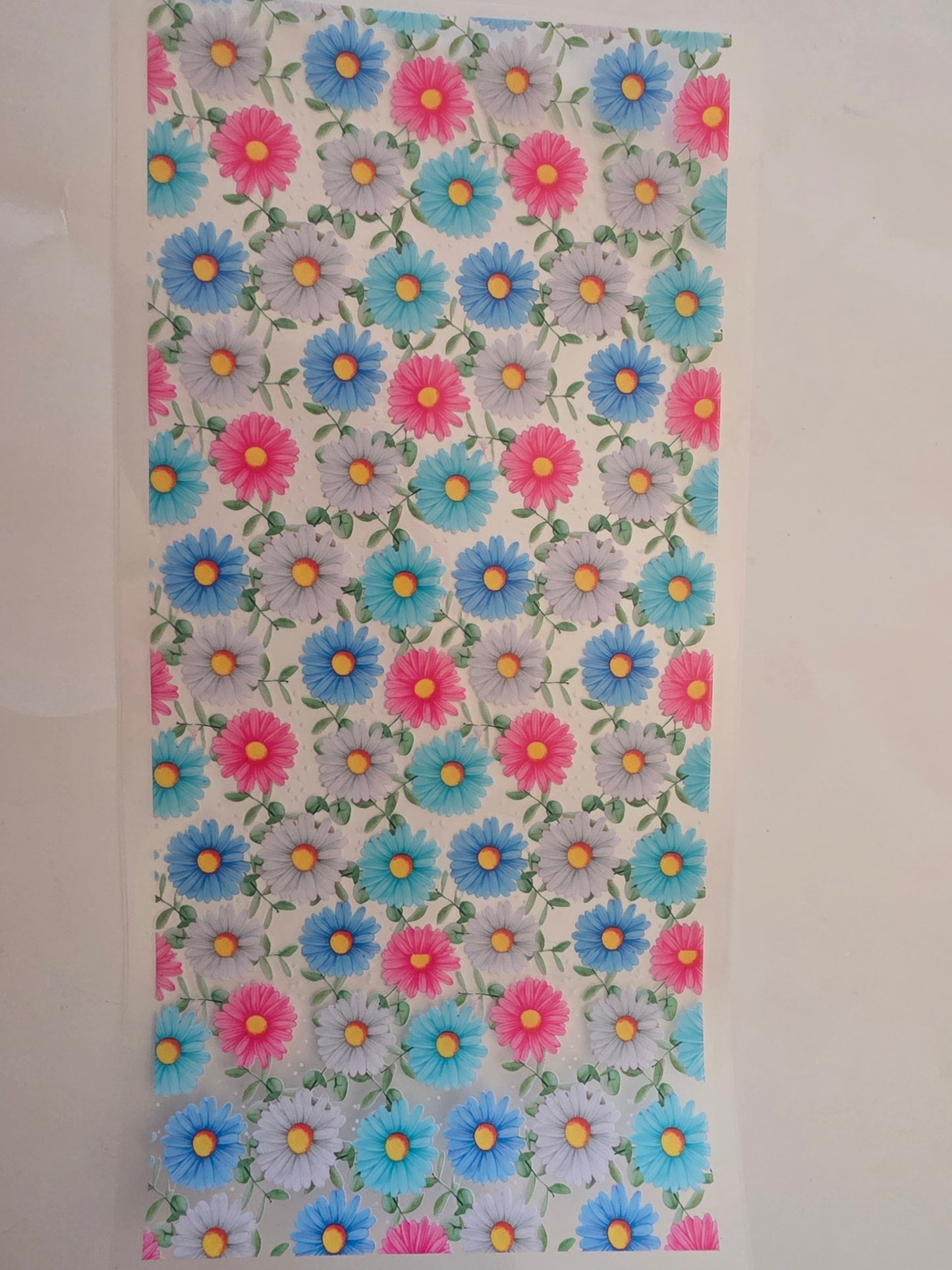Different color daisies