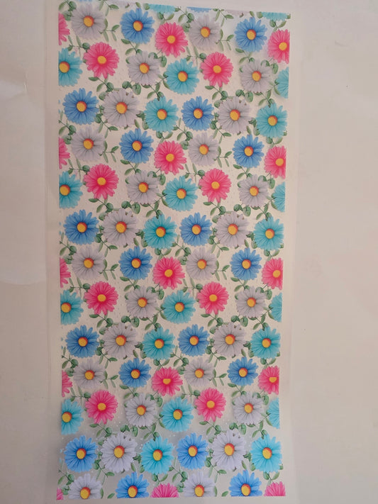 Different color daisies
