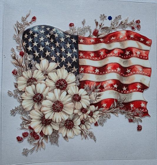 USA Fag with White Daisy looking flowers